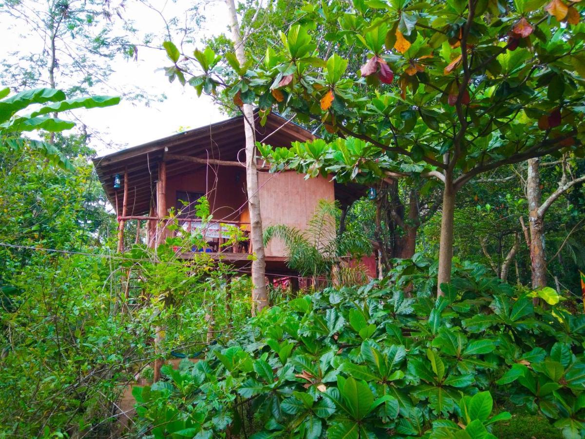 Apartamento Akash Treehouse Sigiriya Exterior foto