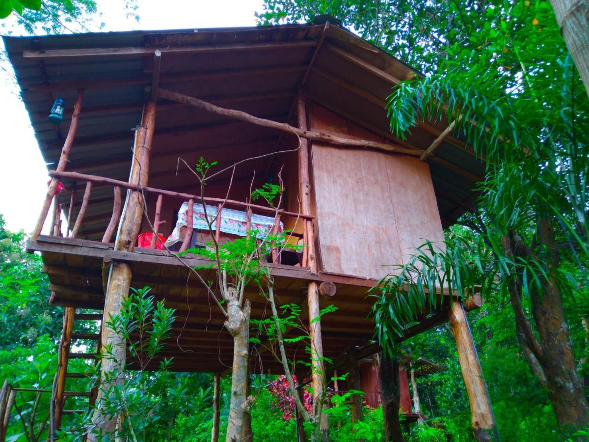 Apartamento Akash Treehouse Sigiriya Exterior foto