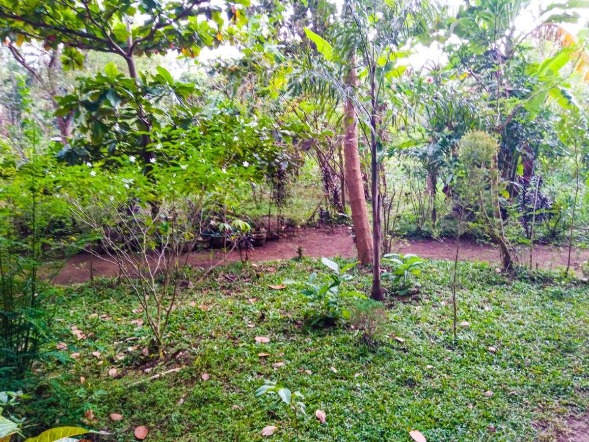 Akash Treehouse Apartamento Sigiriya Exterior foto