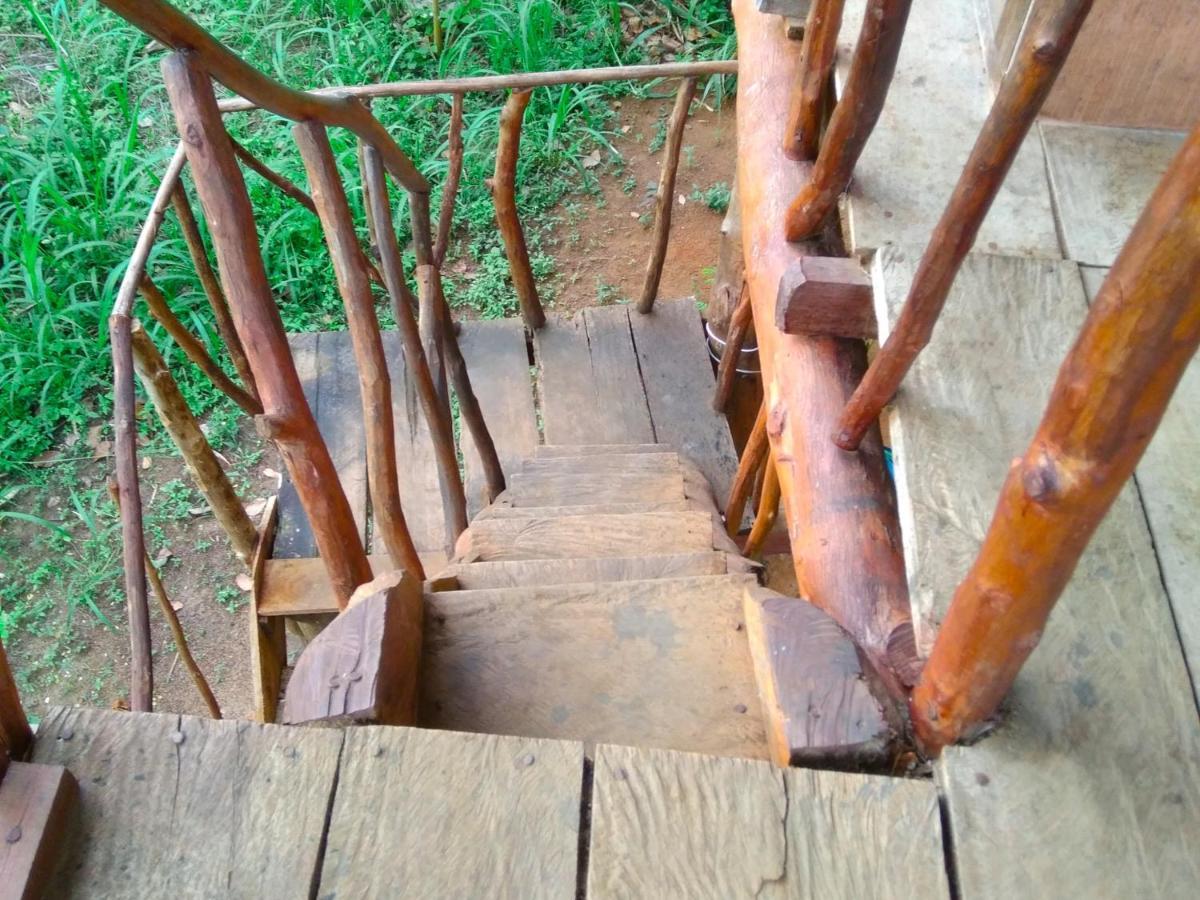 Apartamento Akash Treehouse Sigiriya Exterior foto