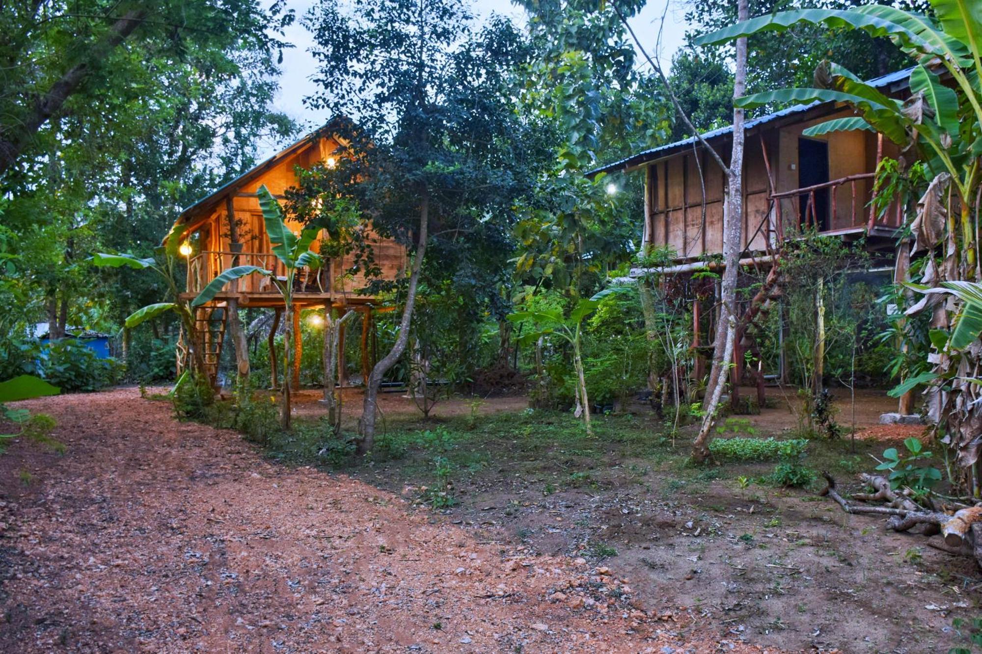 Apartamento Akash Treehouse Sigiriya Exterior foto