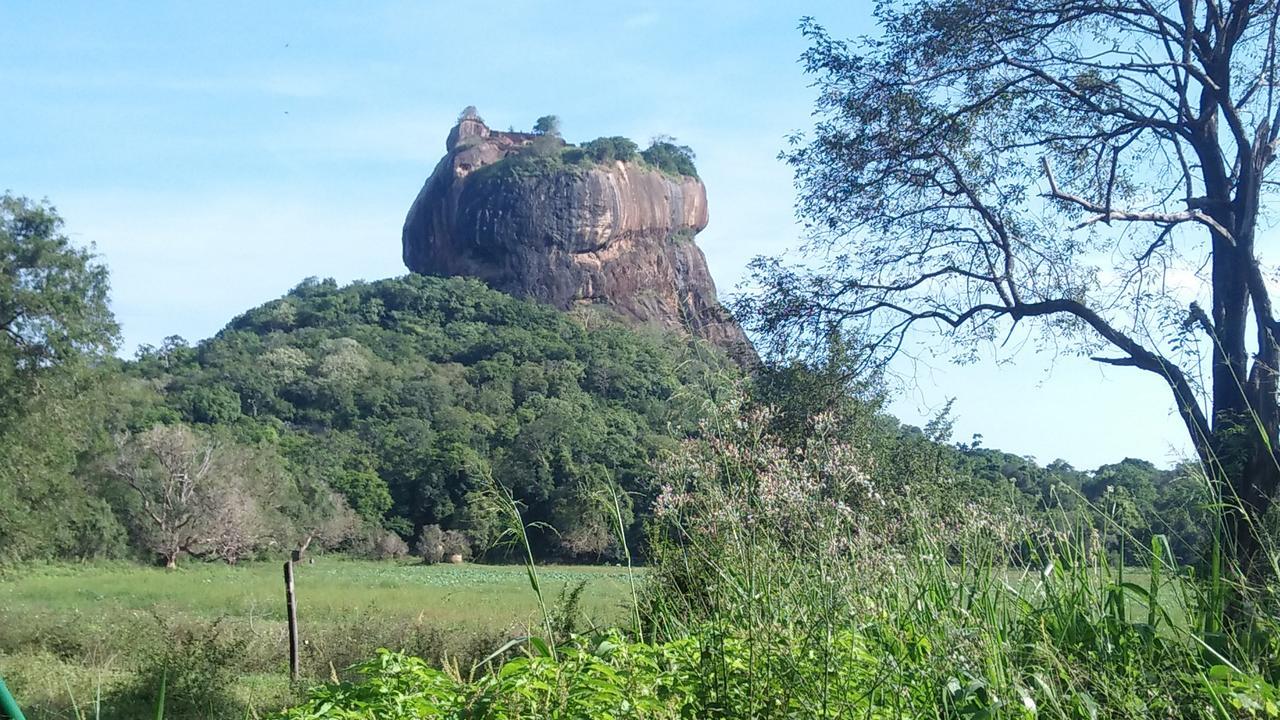 Apartamento Akash Treehouse Sigiriya Exterior foto