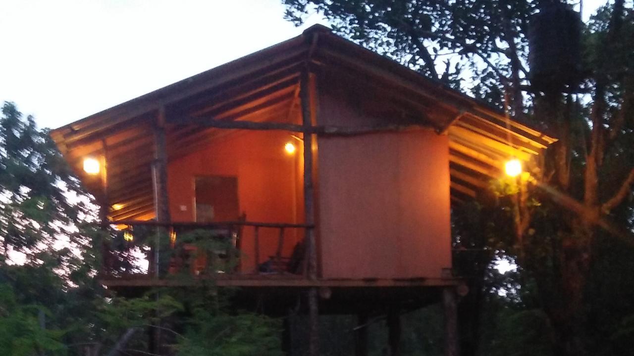 Apartamento Akash Treehouse Sigiriya Exterior foto