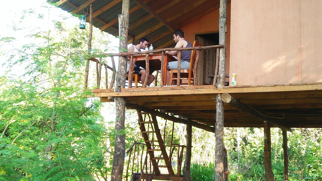 Apartamento Akash Treehouse Sigiriya Exterior foto